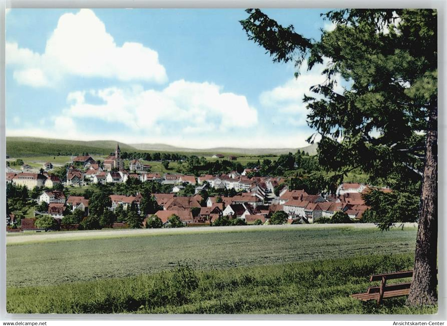 51532055 - Bonndorf im Schwarzwald