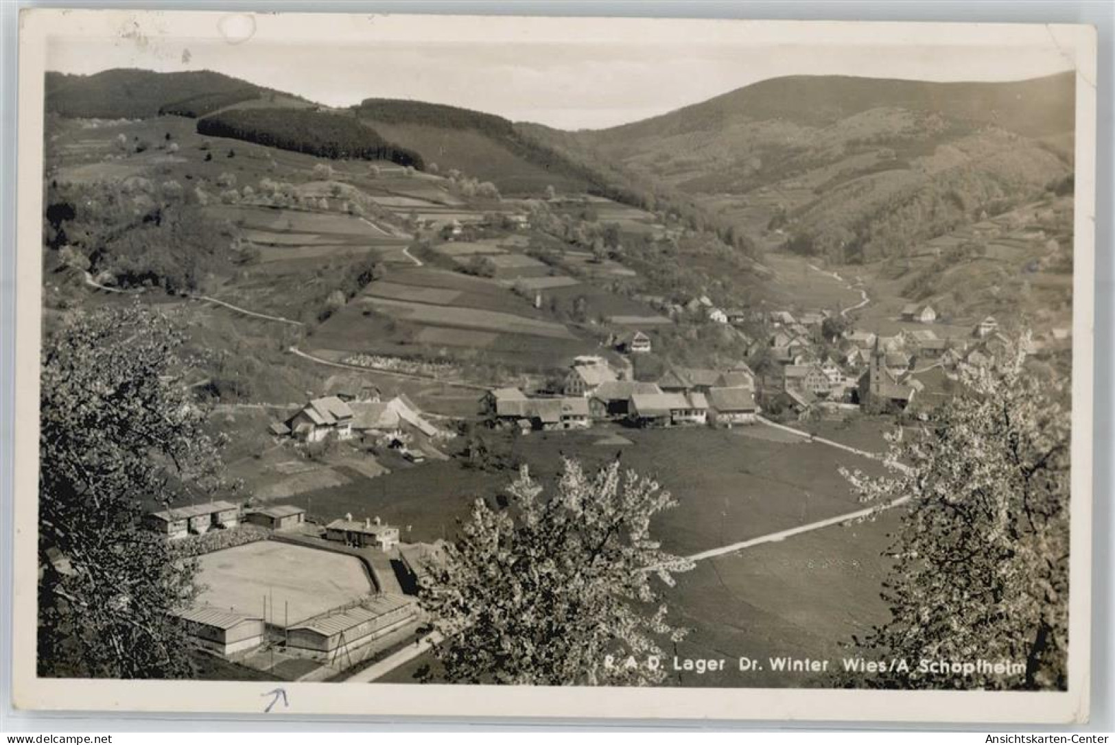 51532786 - Wies , Schwarzw