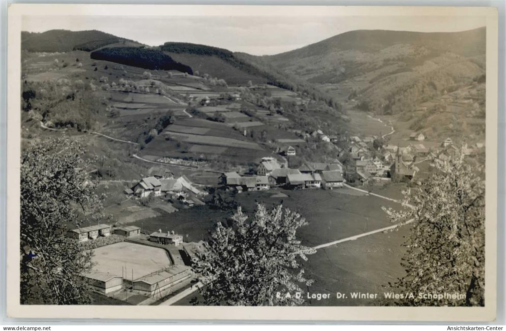 51532787 - Wies , Schwarzw