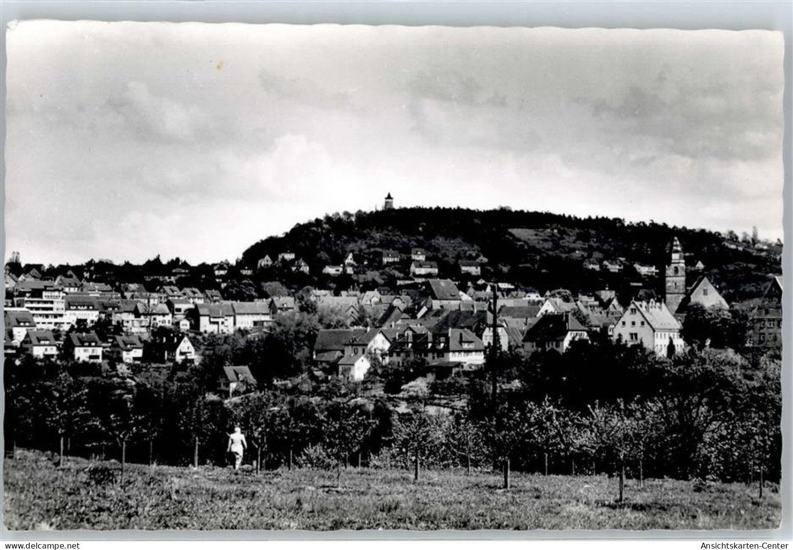 51540550 - Leonberg , Wuertt