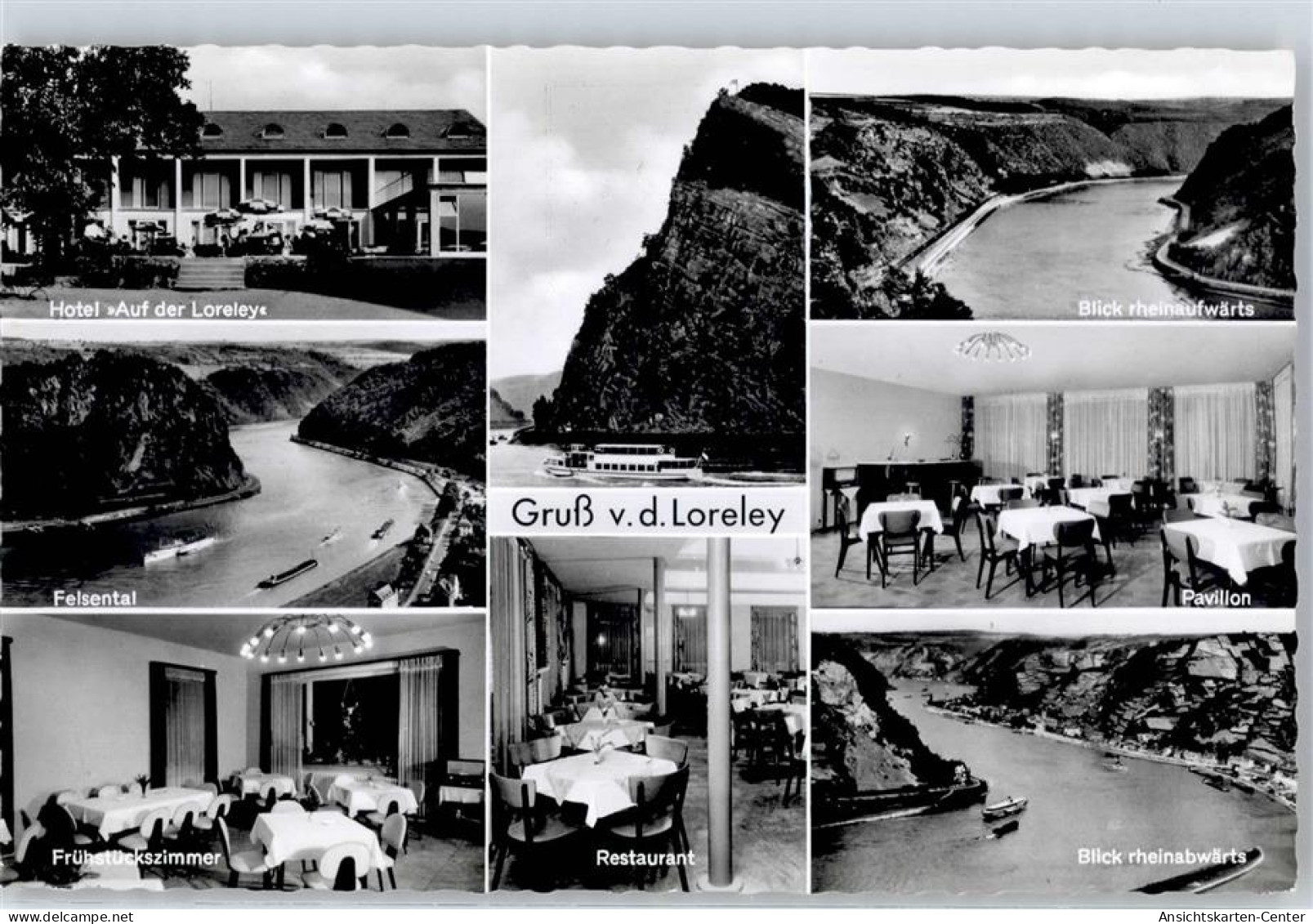 51546777 - Loreley