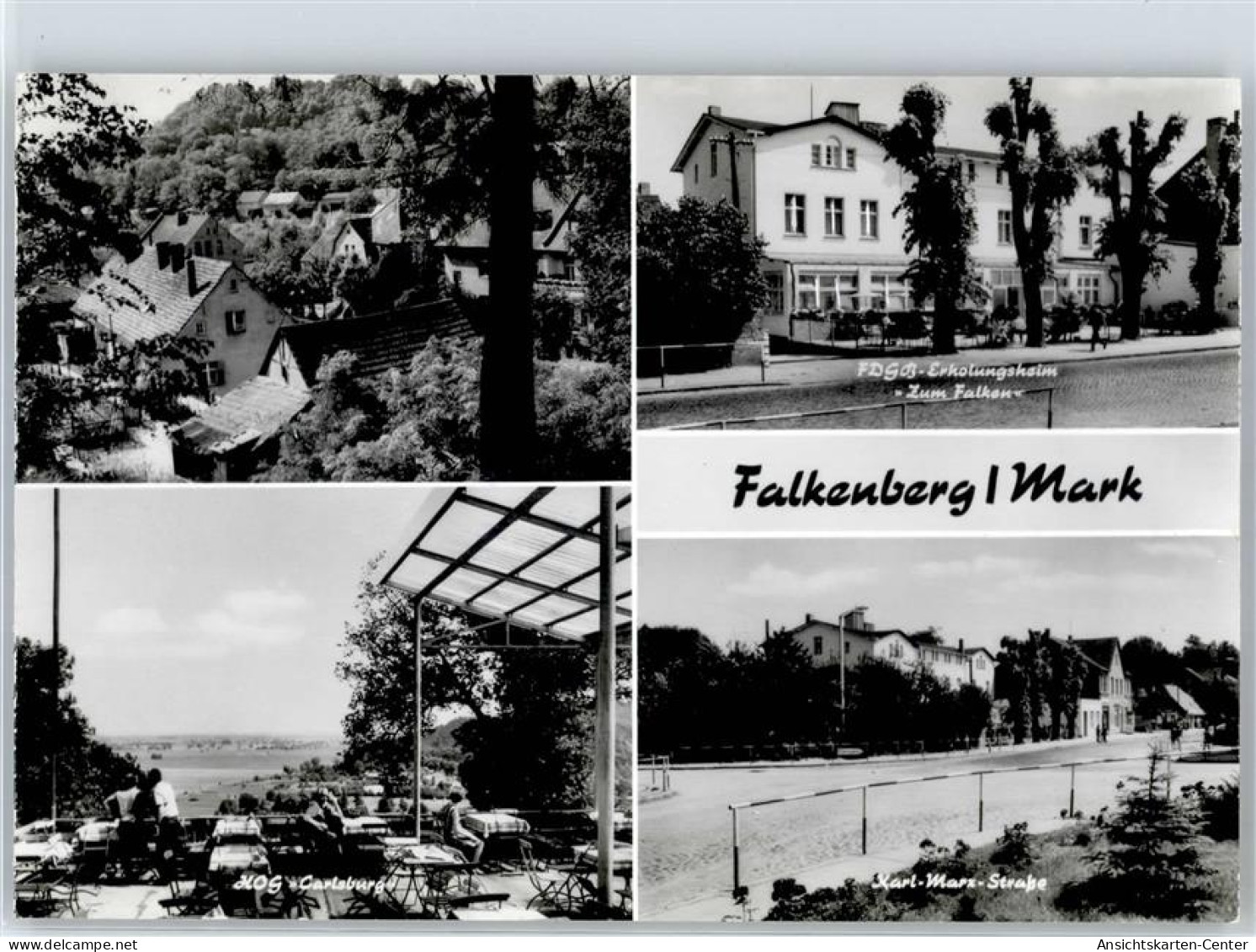 51546876 - Falkenberg , Mark