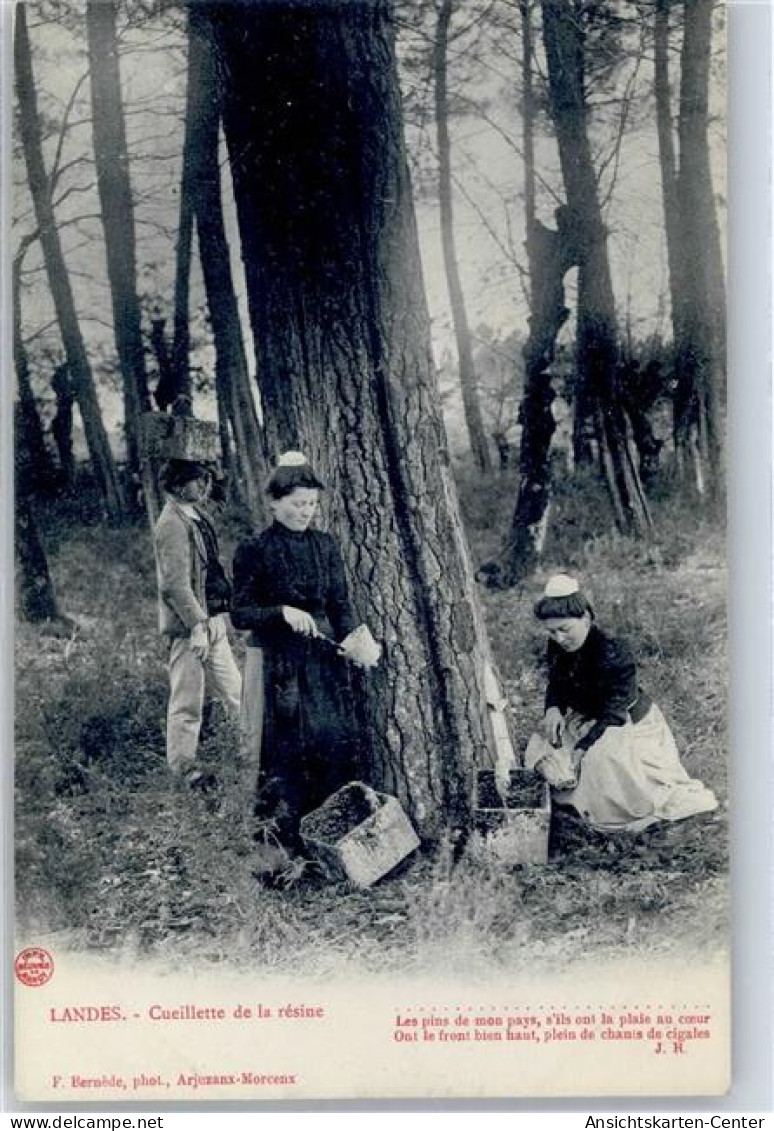 51584176 - Mont-de-Marsan