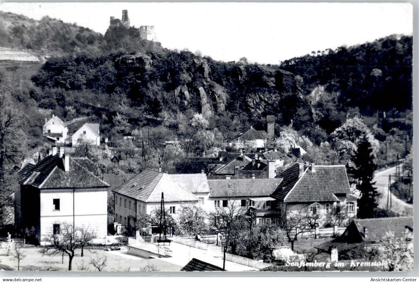 51584495 - Senftenberg