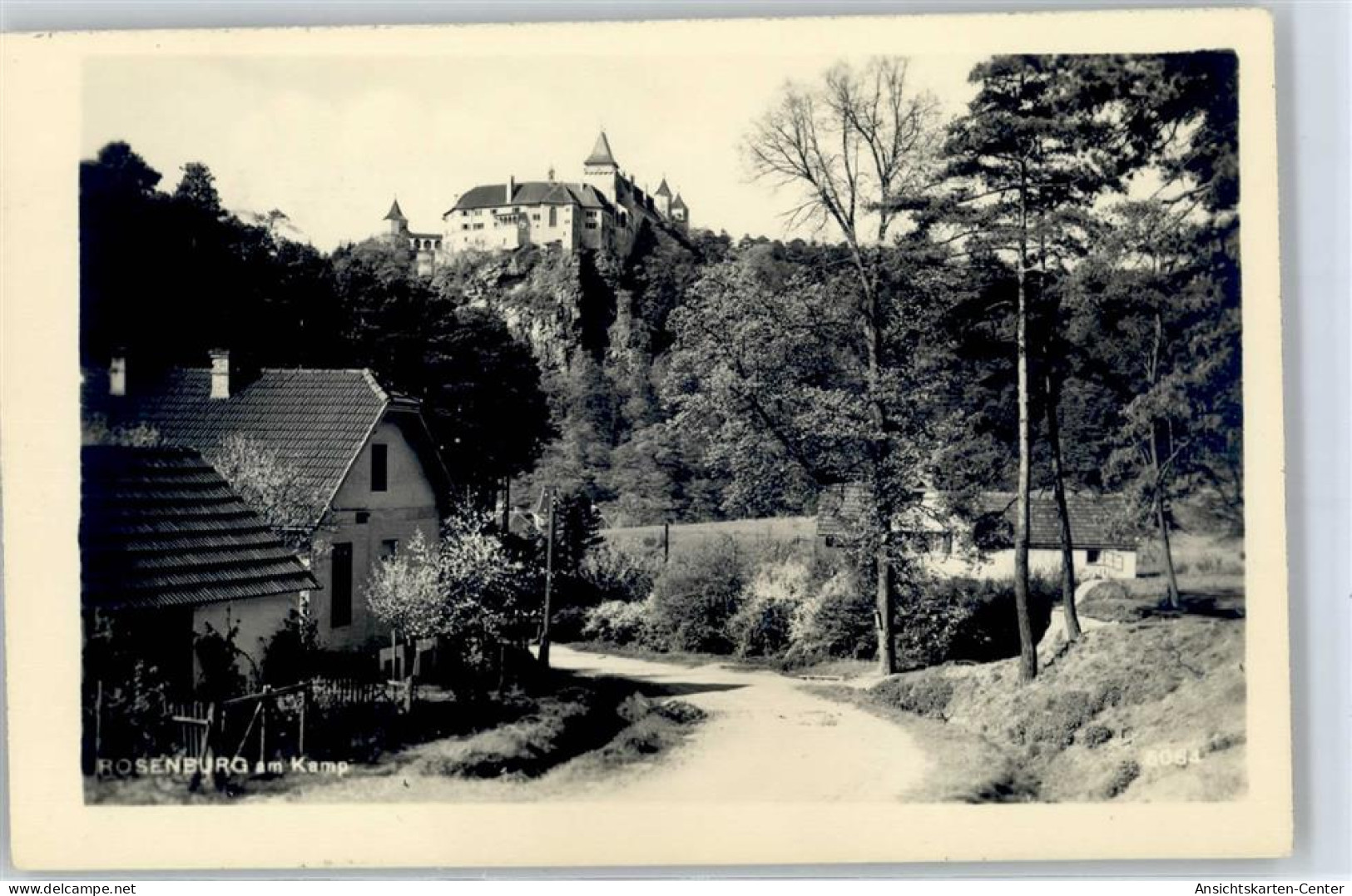 51586466 - Rosenburg