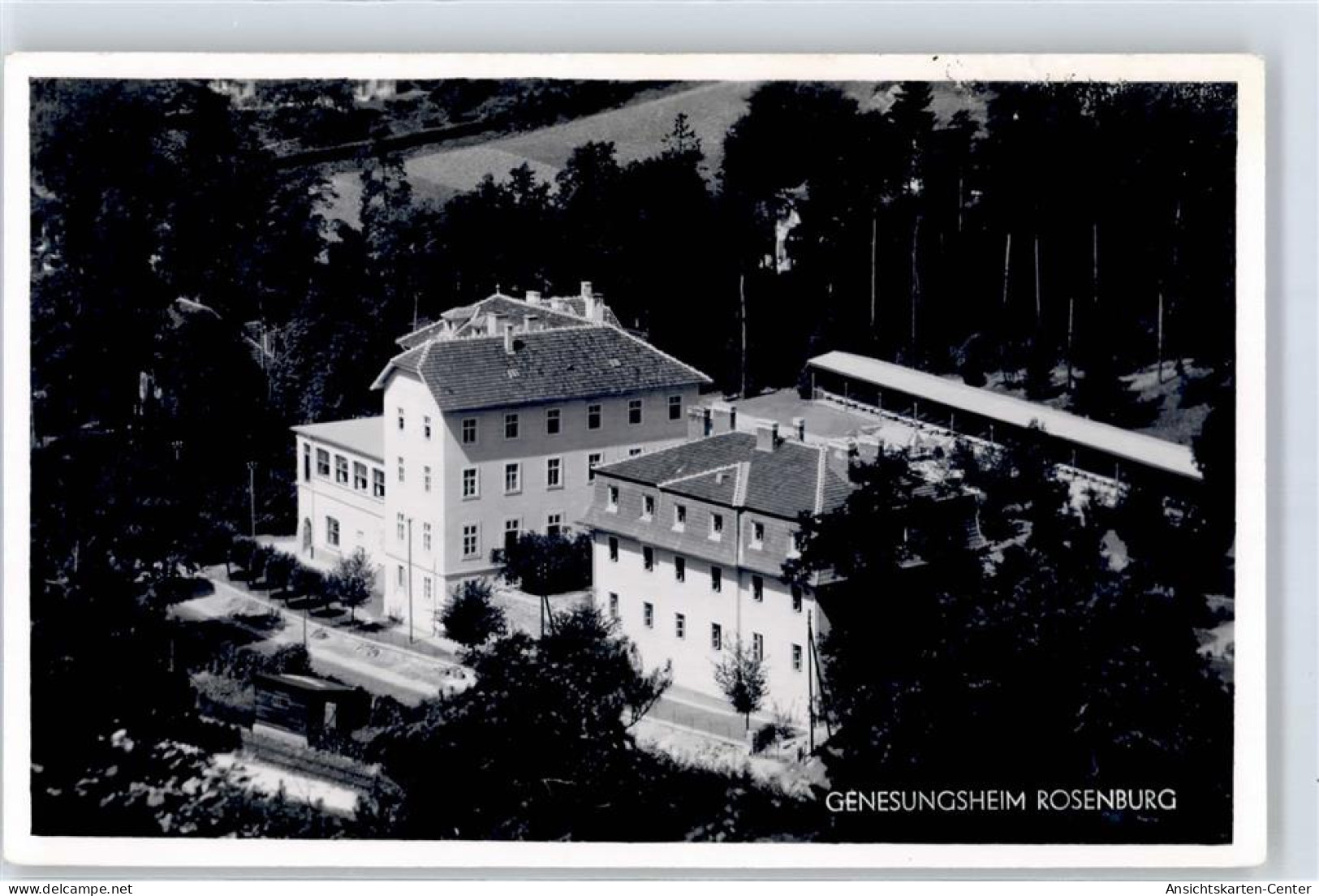 51586493 - Rosenburg