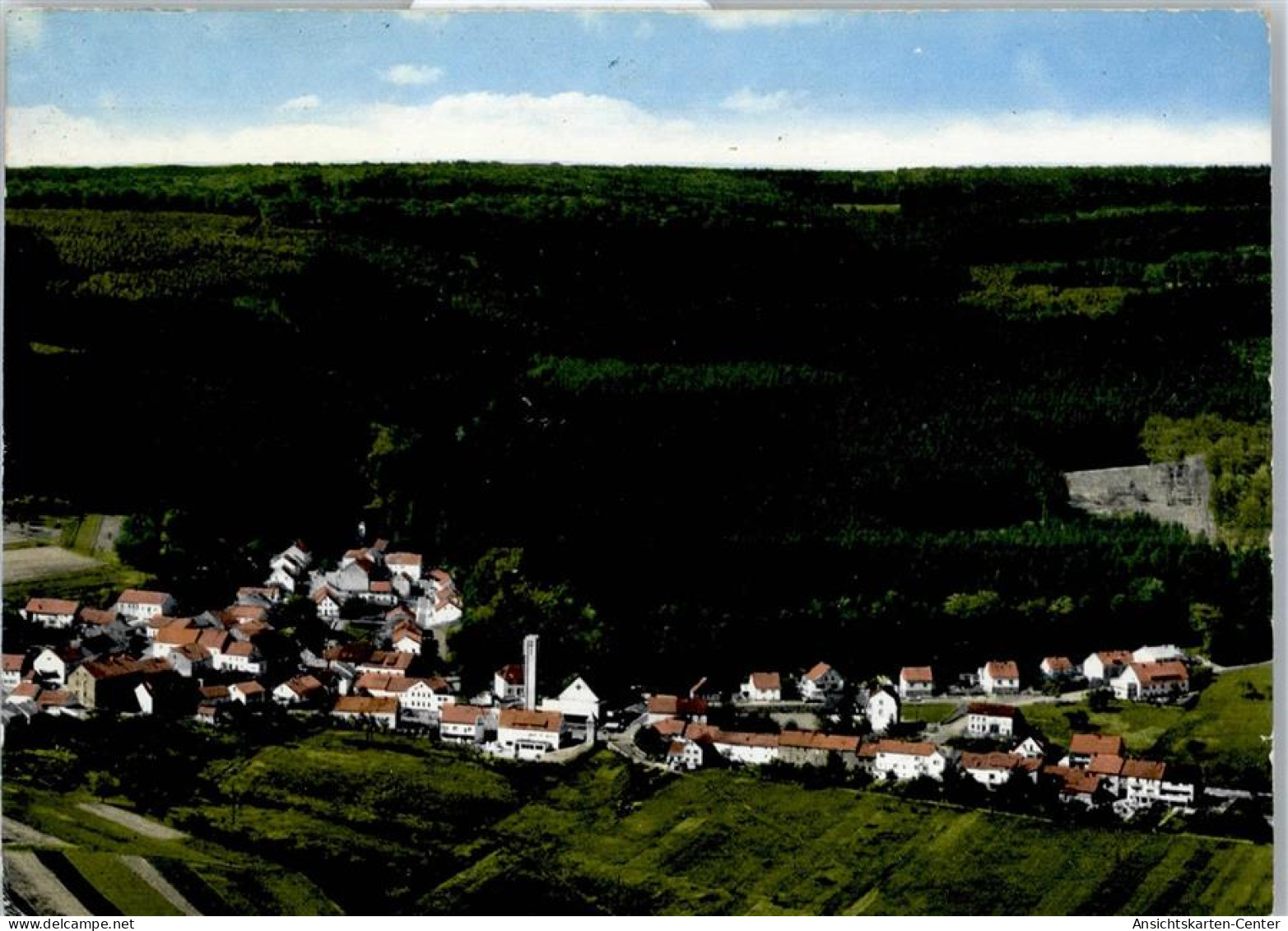 51591203 - Waldhoelzbach