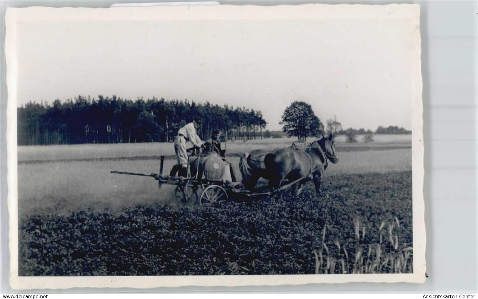 51596325 - Jessen (Elster)