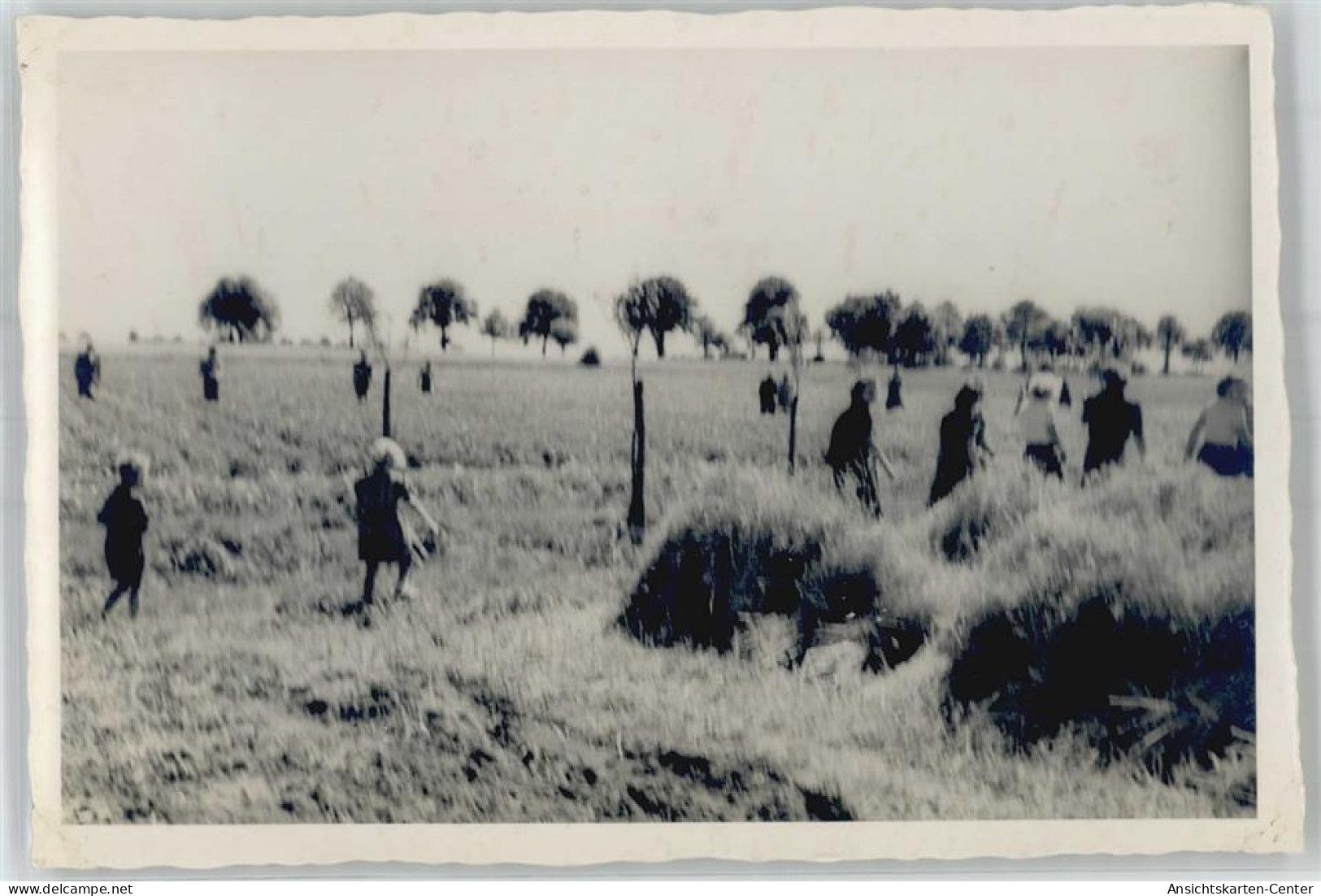 51596326 - Jessen (Elster)