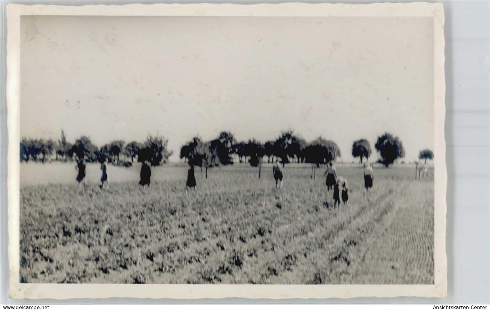 51596338 - Jessen (Elster)