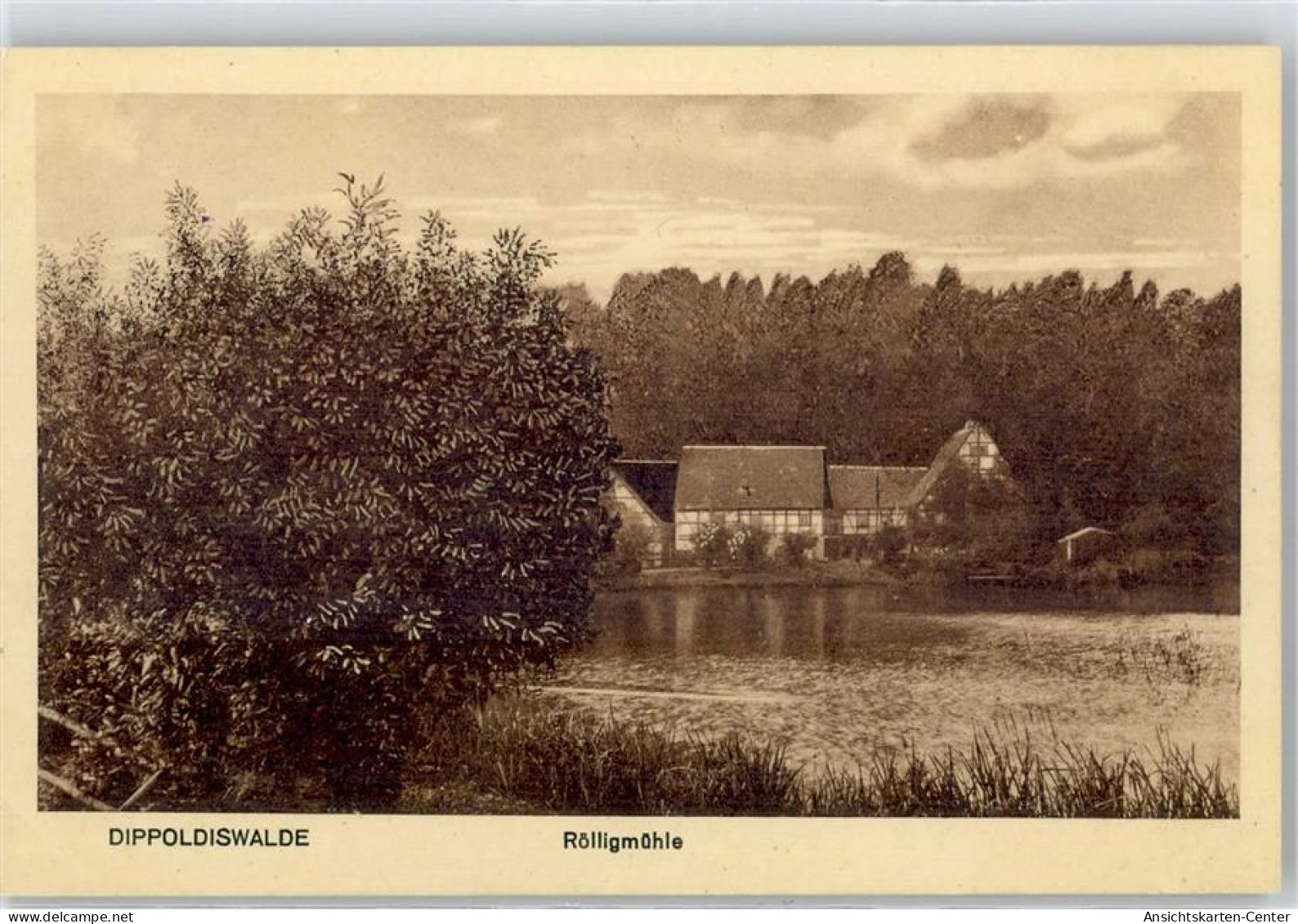 51611167 - Dippoldiswalde