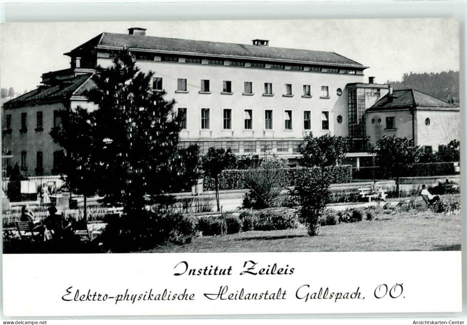 51629918 - Gallspach