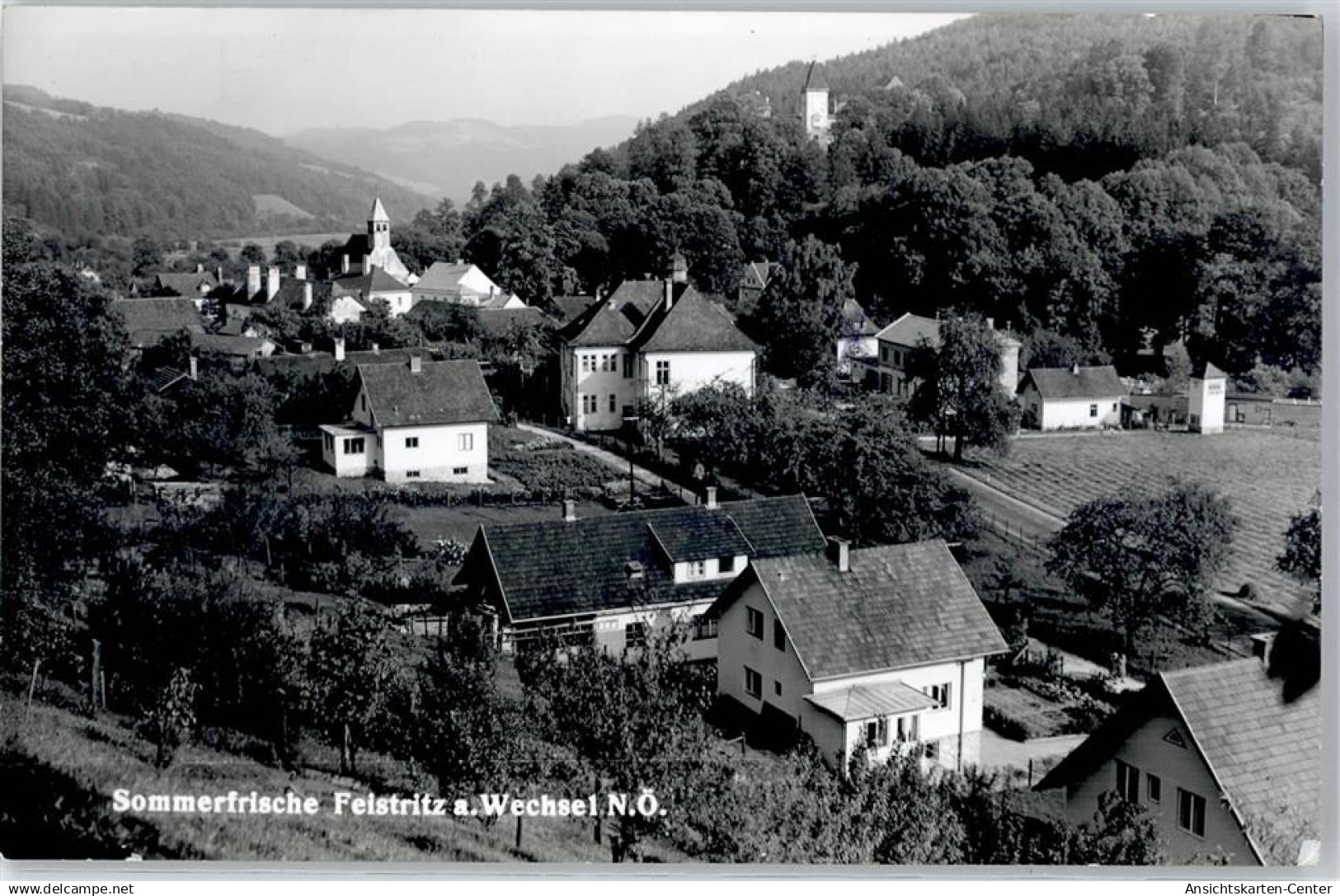 51641144 - Feistritz am Wechsel