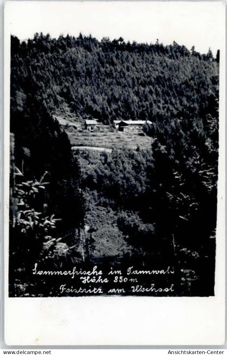 51641157 - Feistritz am Wechsel