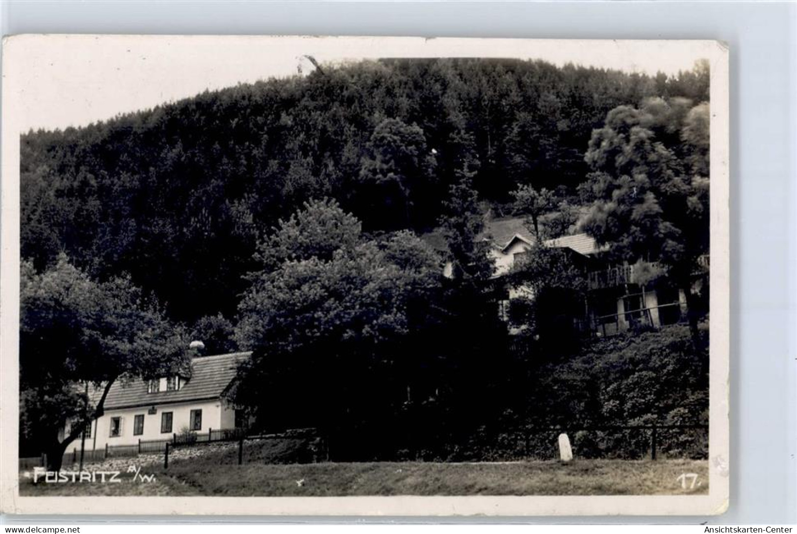 51641159 - Feistritz am Wechsel