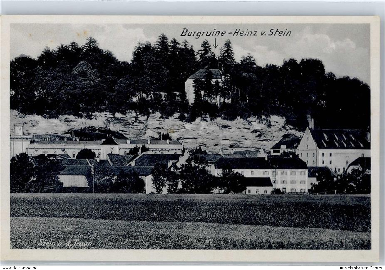 51654924 - Stein a d Traun