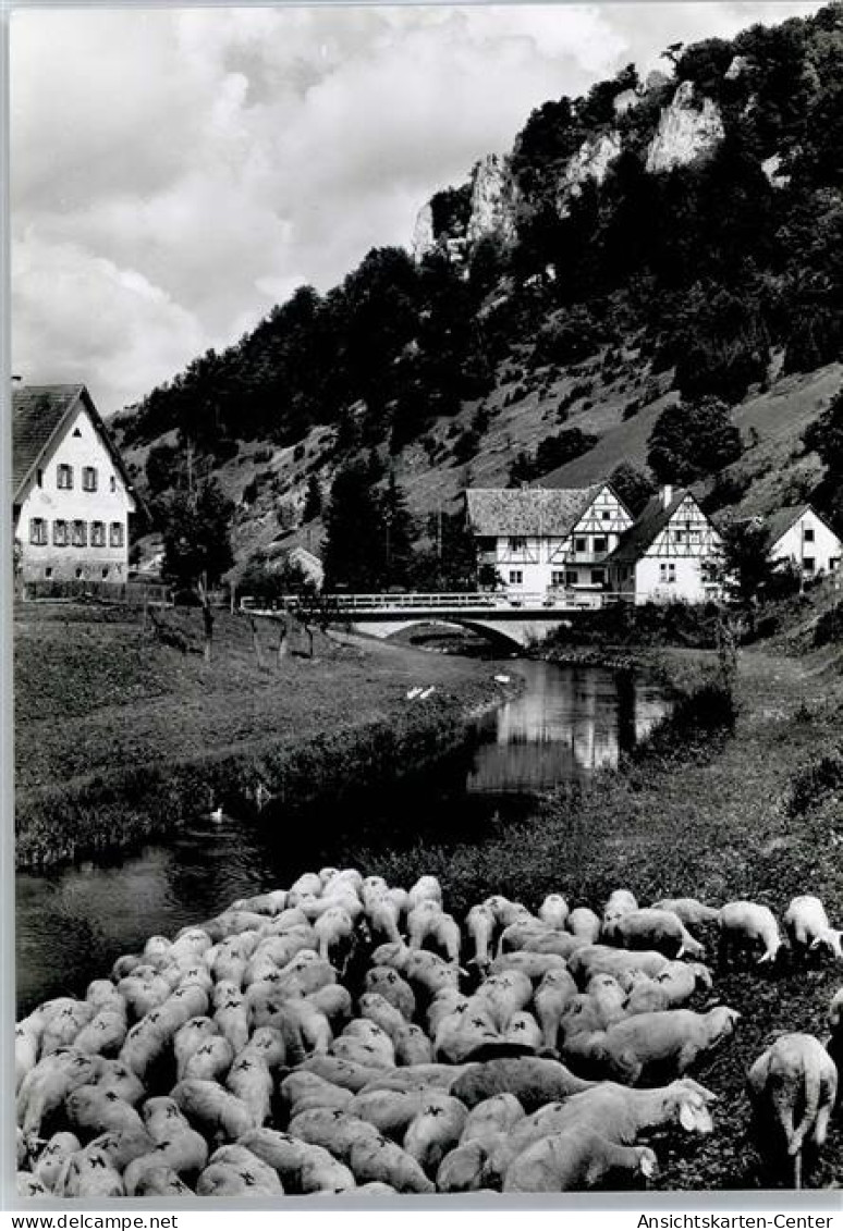 51655387 - Gundelfingen , Wuertt