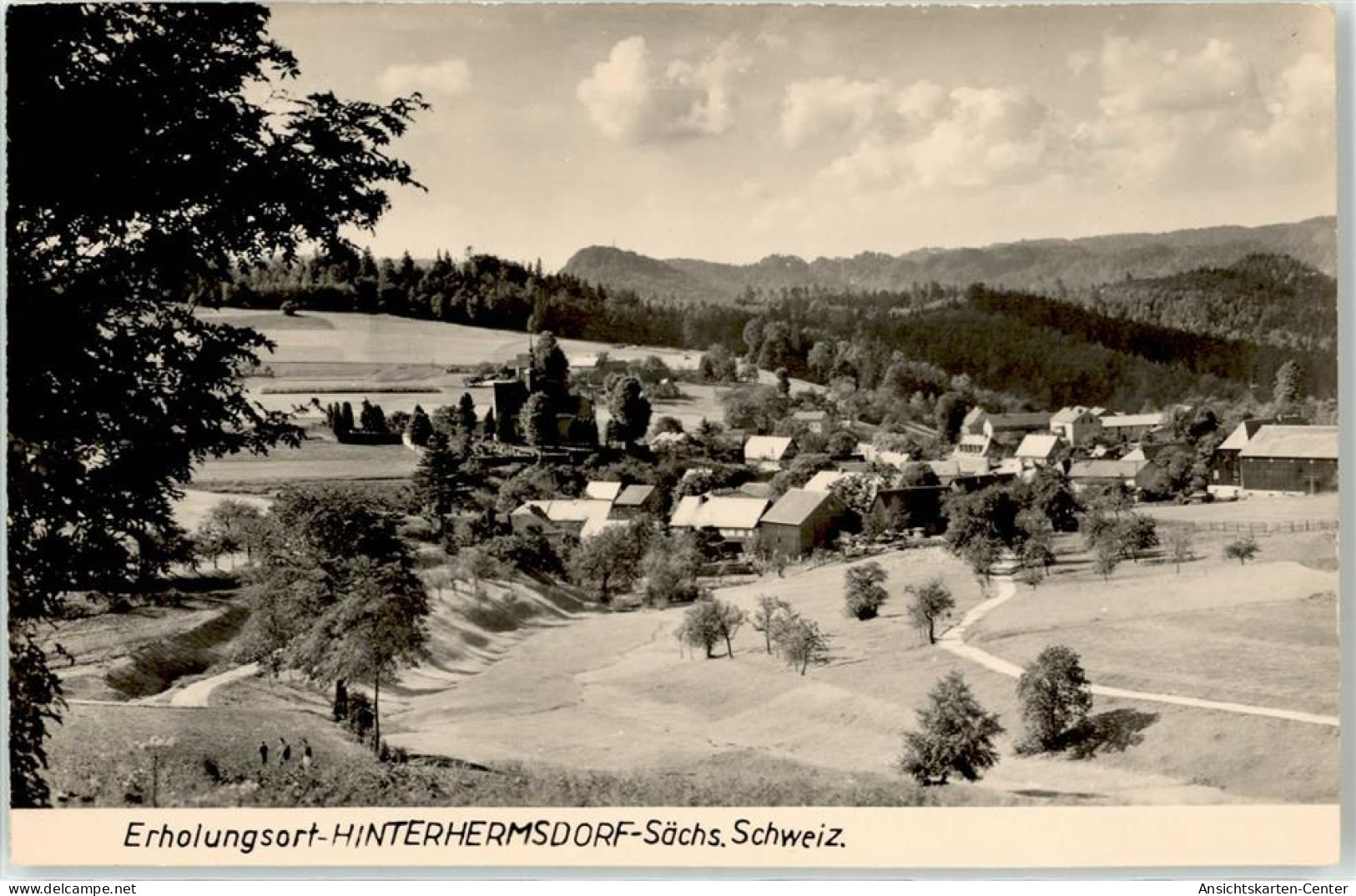 51657160 - Hinterhermsdorf