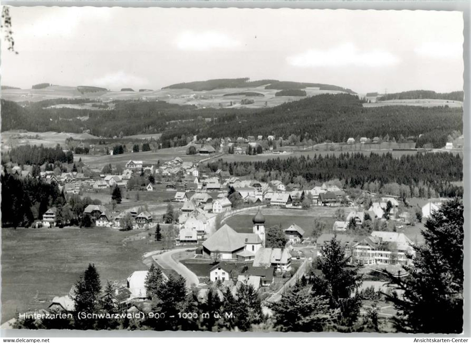 51660133 - Hinterzarten