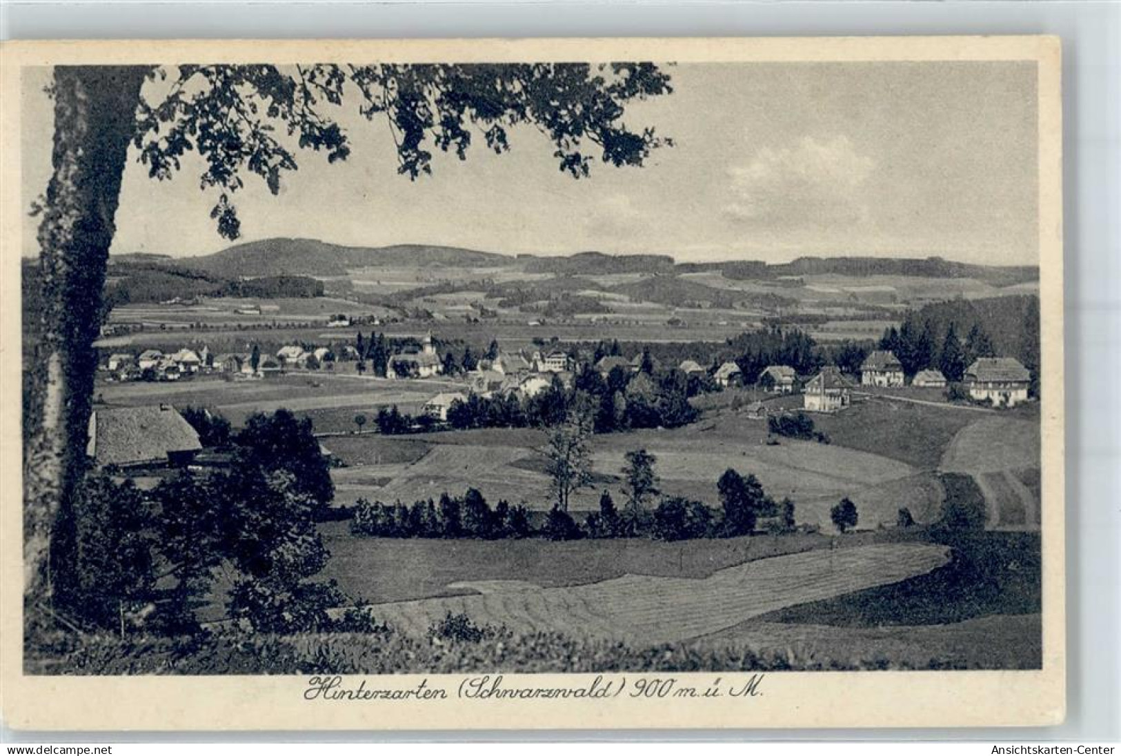 51660175 - Hinterzarten