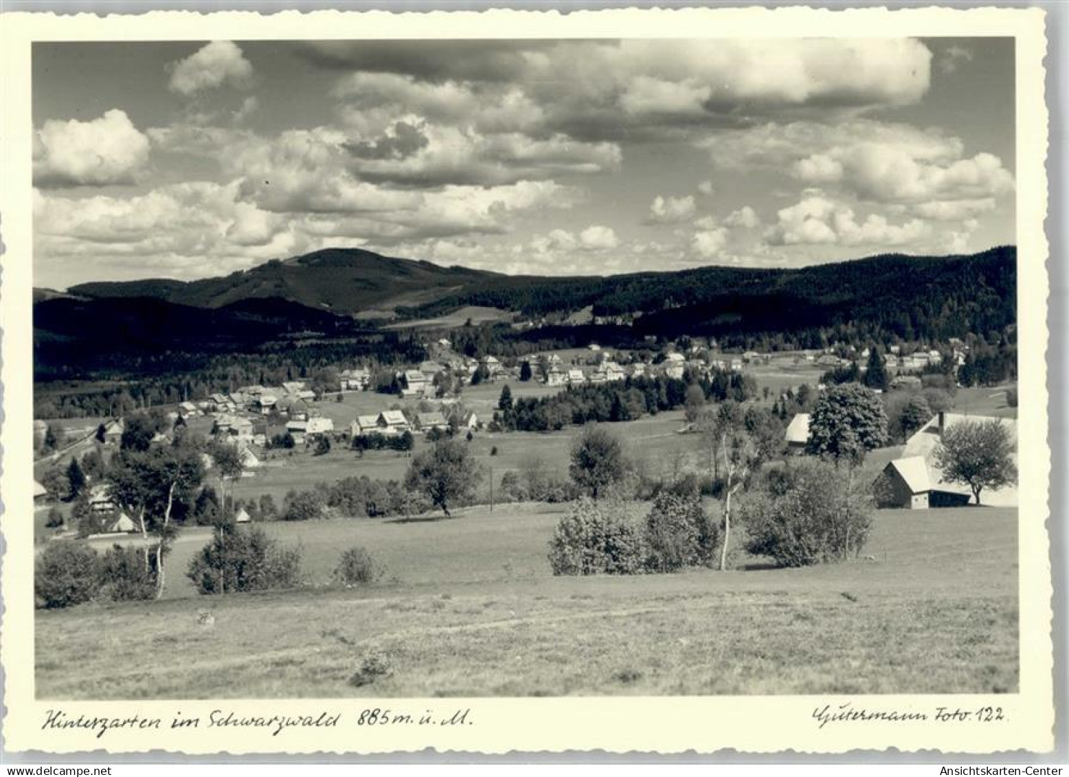 51660234 - Hinterzarten