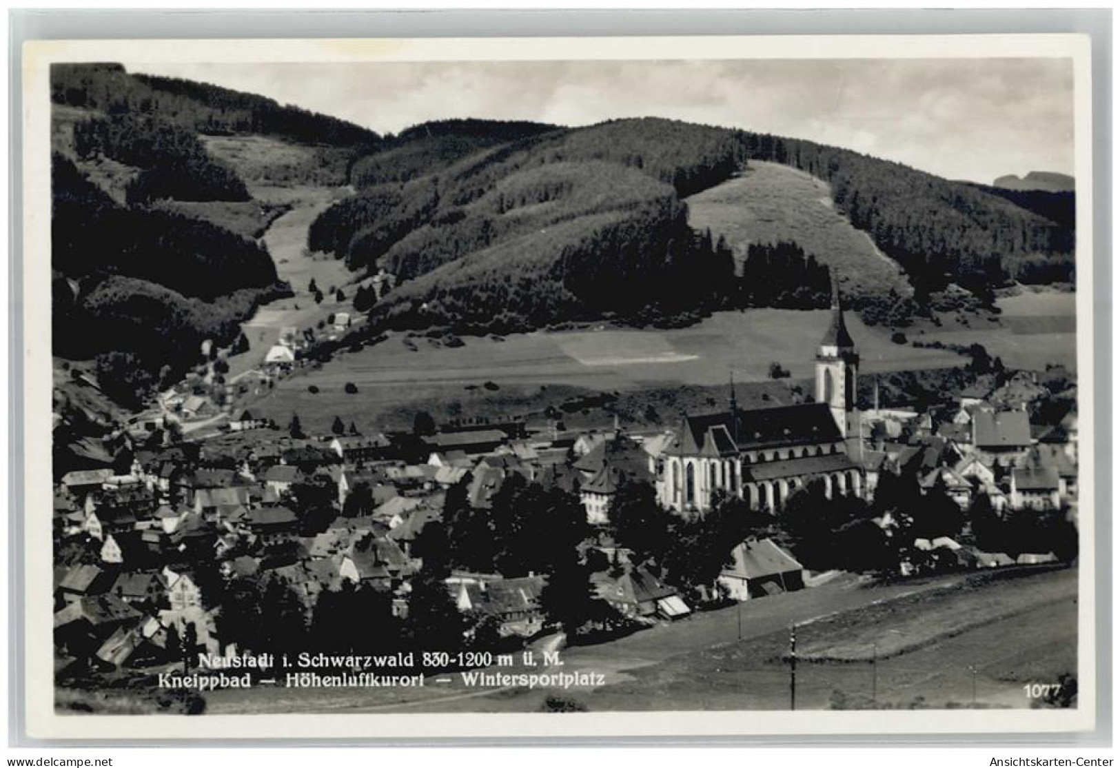 51660267 - Titisee-Neustadt