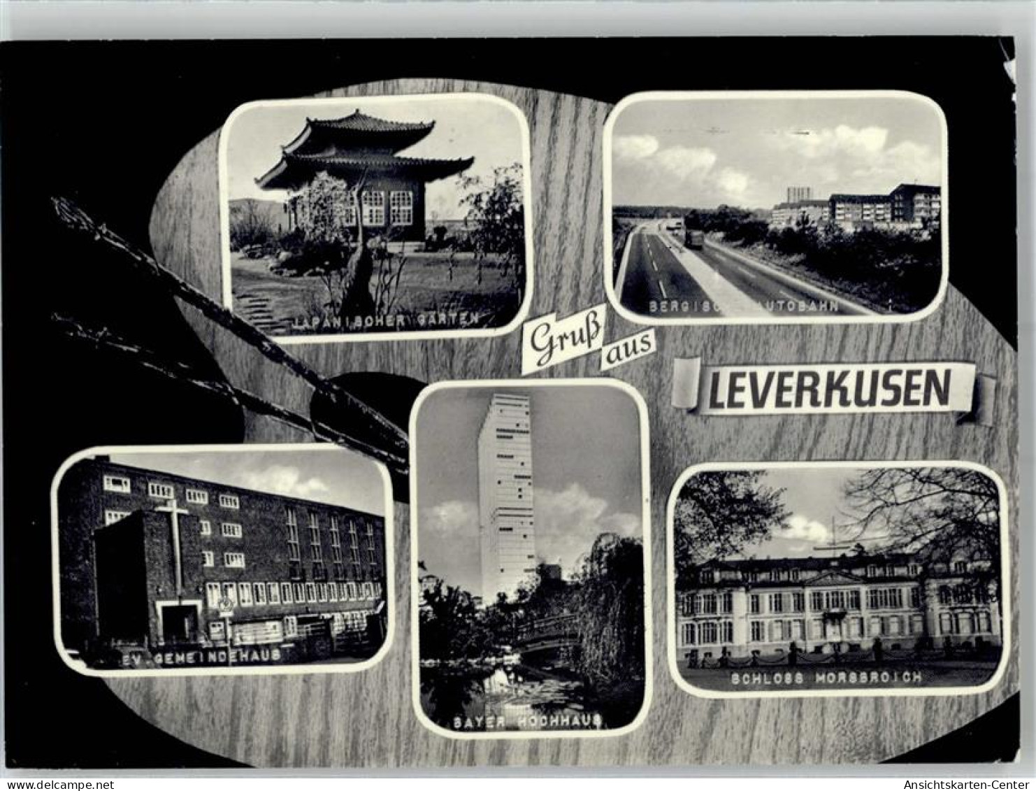 51663622 - Leverkusen