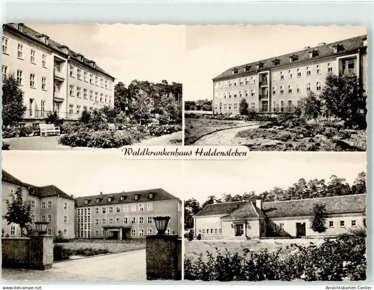 51703555 - Haldensleben