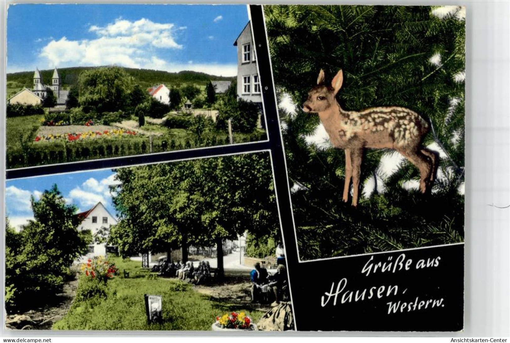 51704503 - Waldbrunn (Westerwald)