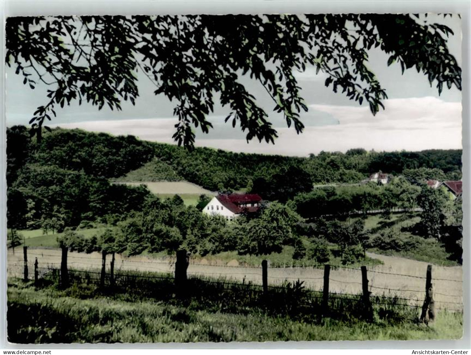 51705054 - Niederstueter