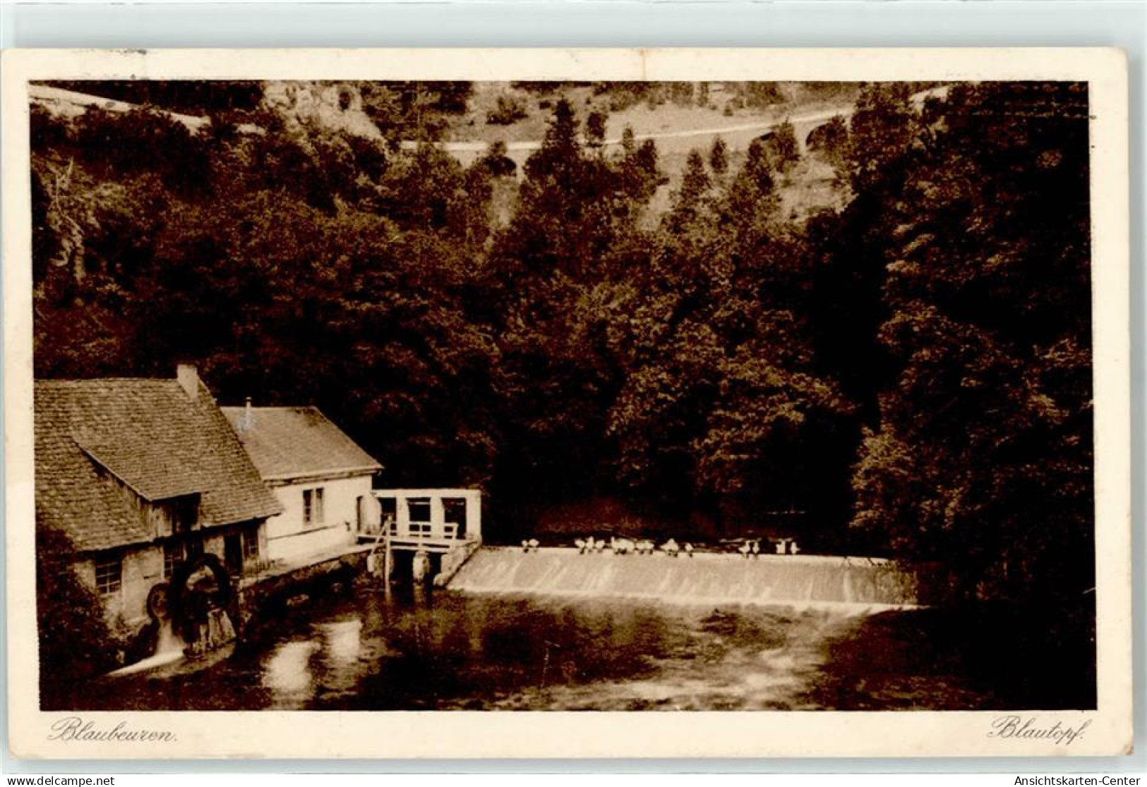 51710045 - Blaubeuren