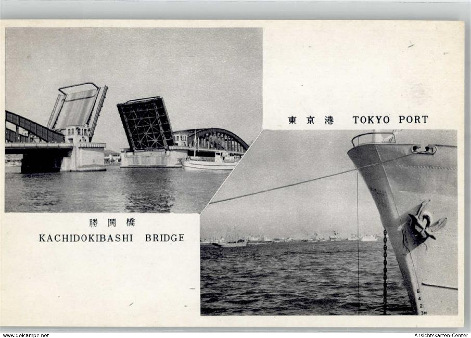 51711359 - Tokyo Tokio