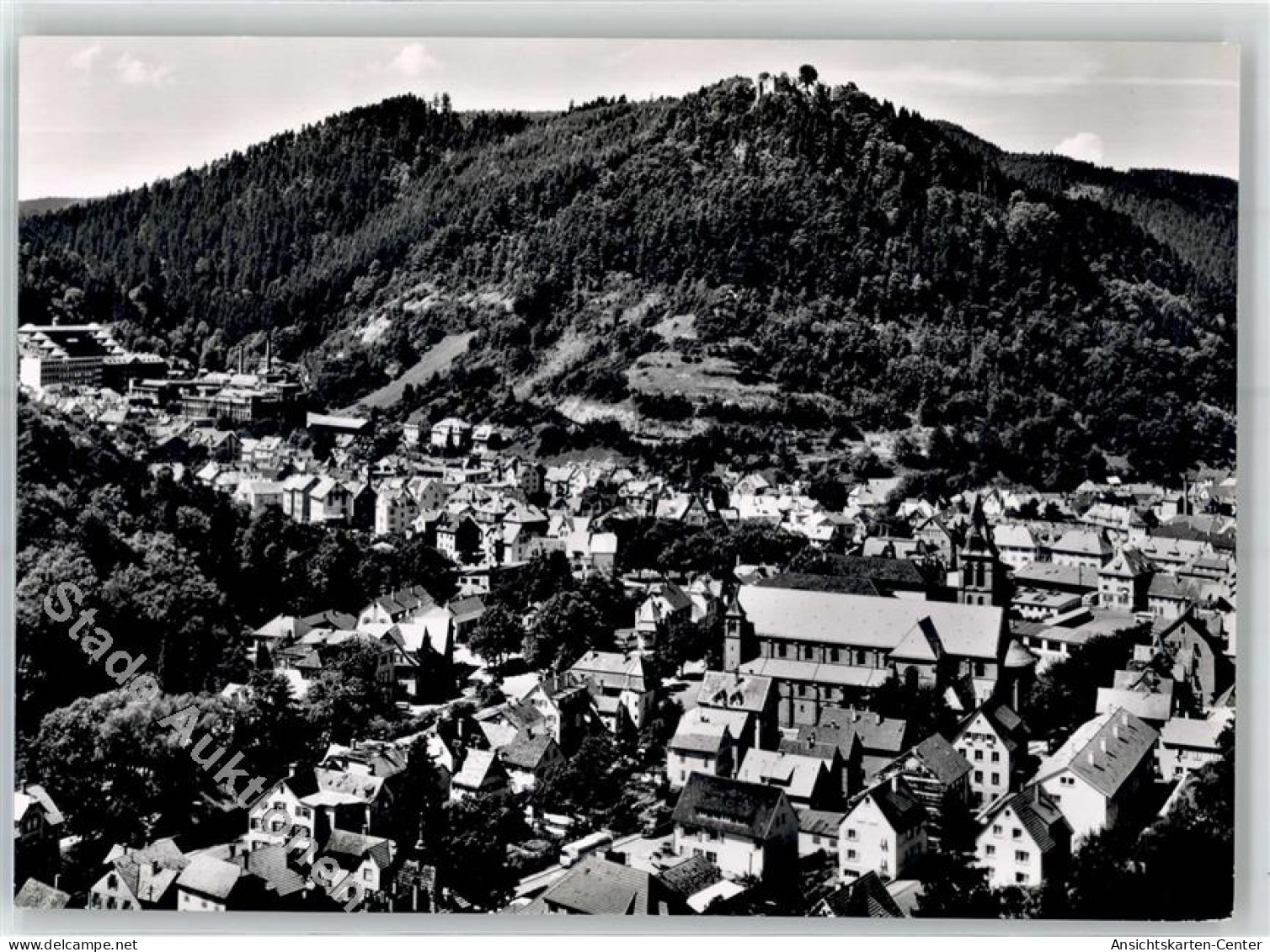 51736780 - Schramberg