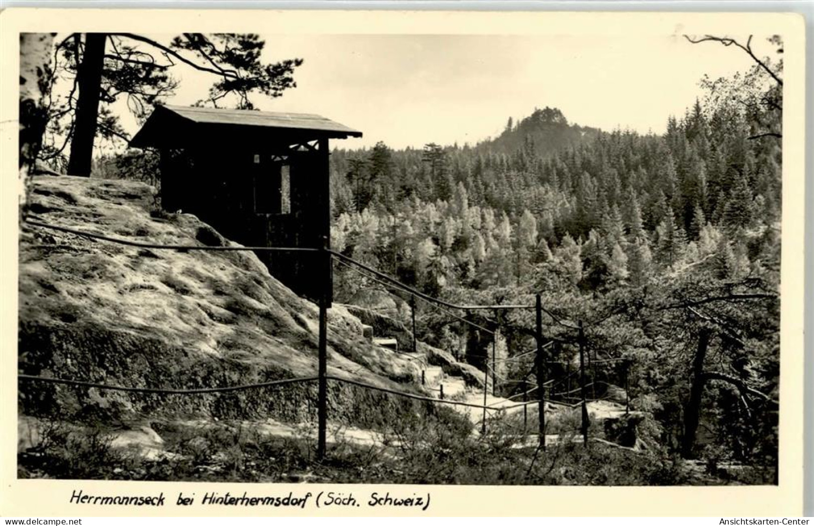 51762218 - Hinterhermsdorf