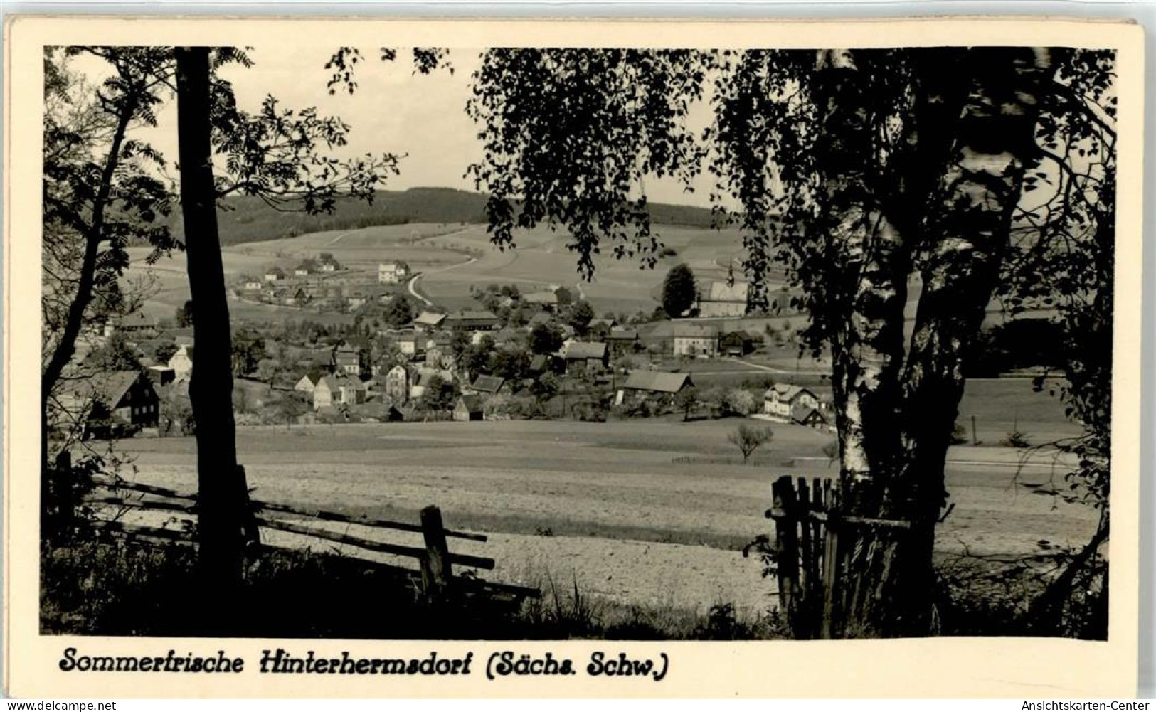 51762219 - Hinterhermsdorf