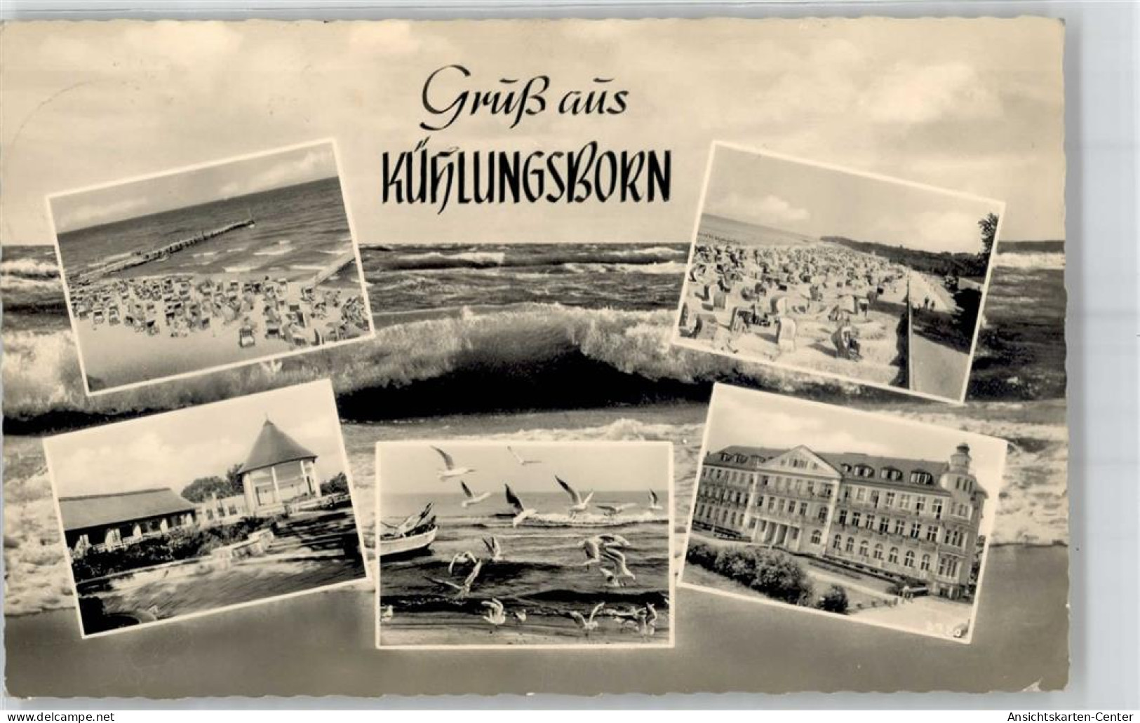 51782156 - Kuehlungsborn , Ostseebad