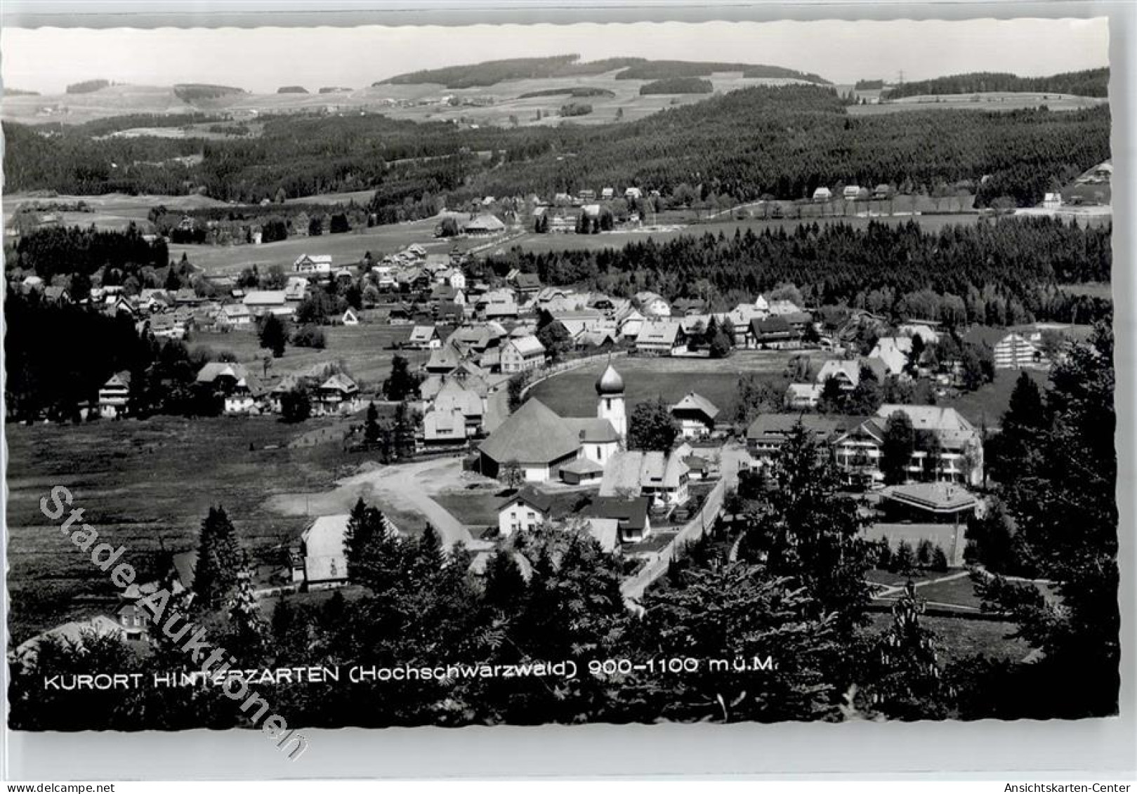 51782446 - Hinterzarten