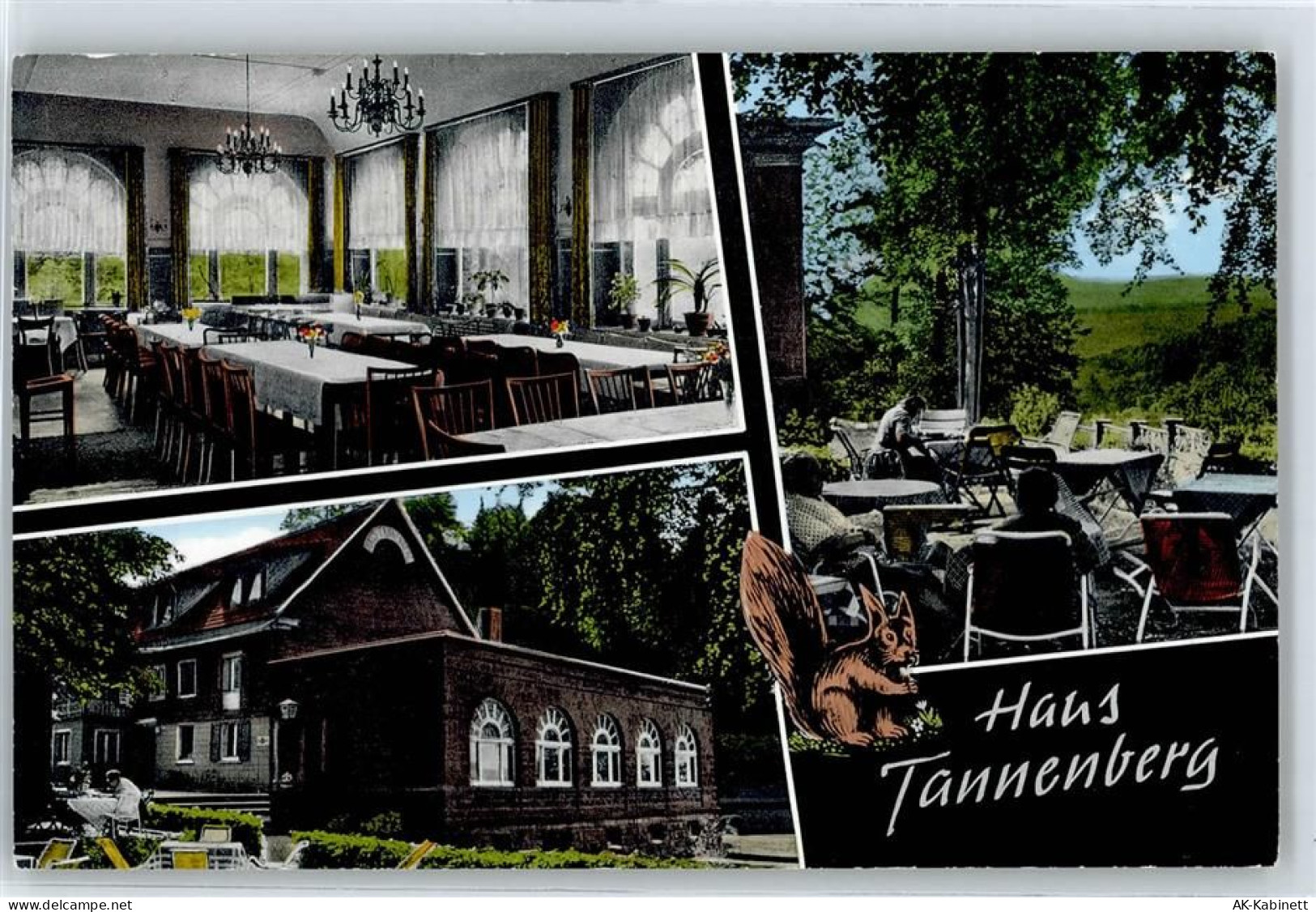 51789 W5253 Lindlar - Hotel Haus Tannenberg - 51116128