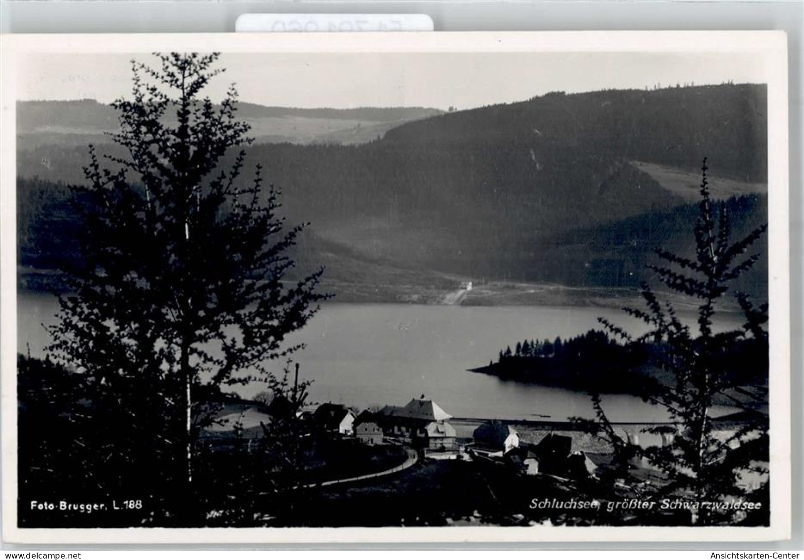 51791960 - Schluchsee