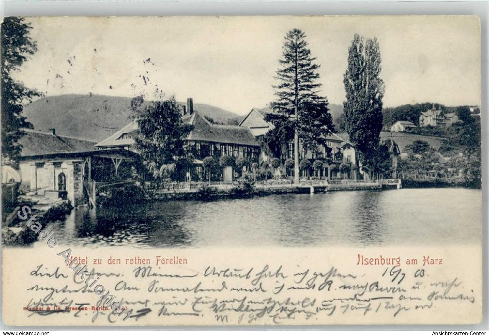 51794353 - Ilsenburg