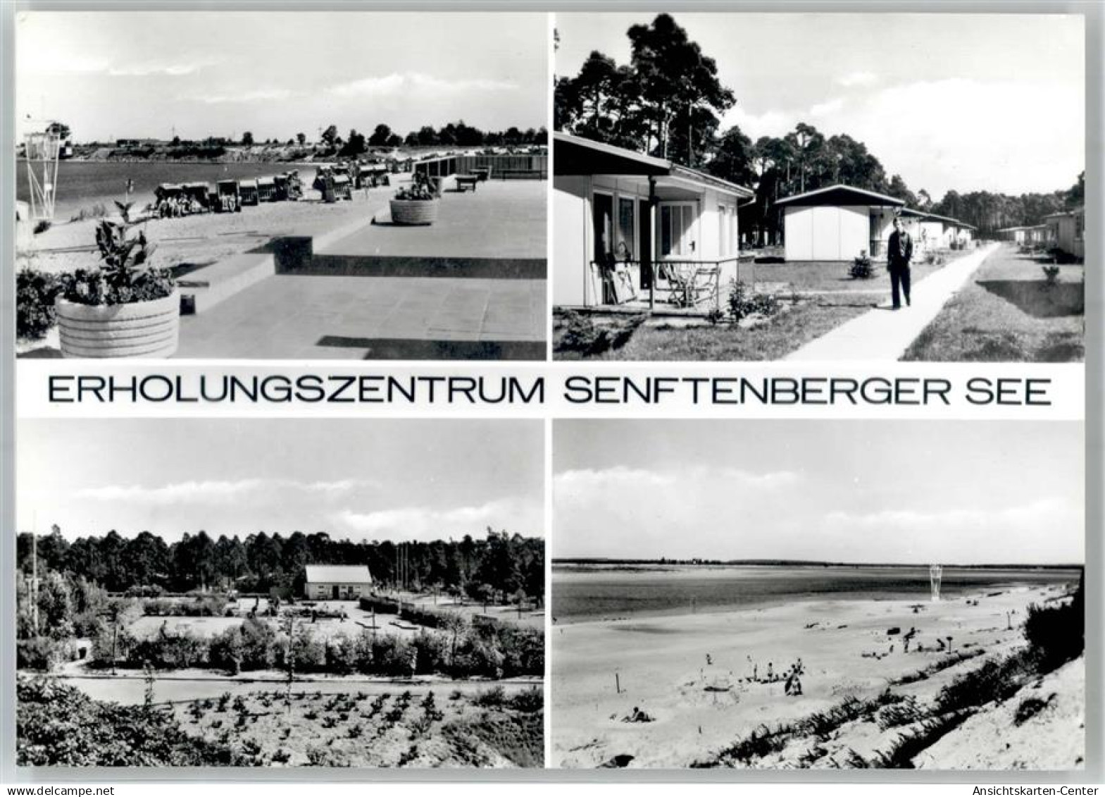 51809278 - Senftenberg