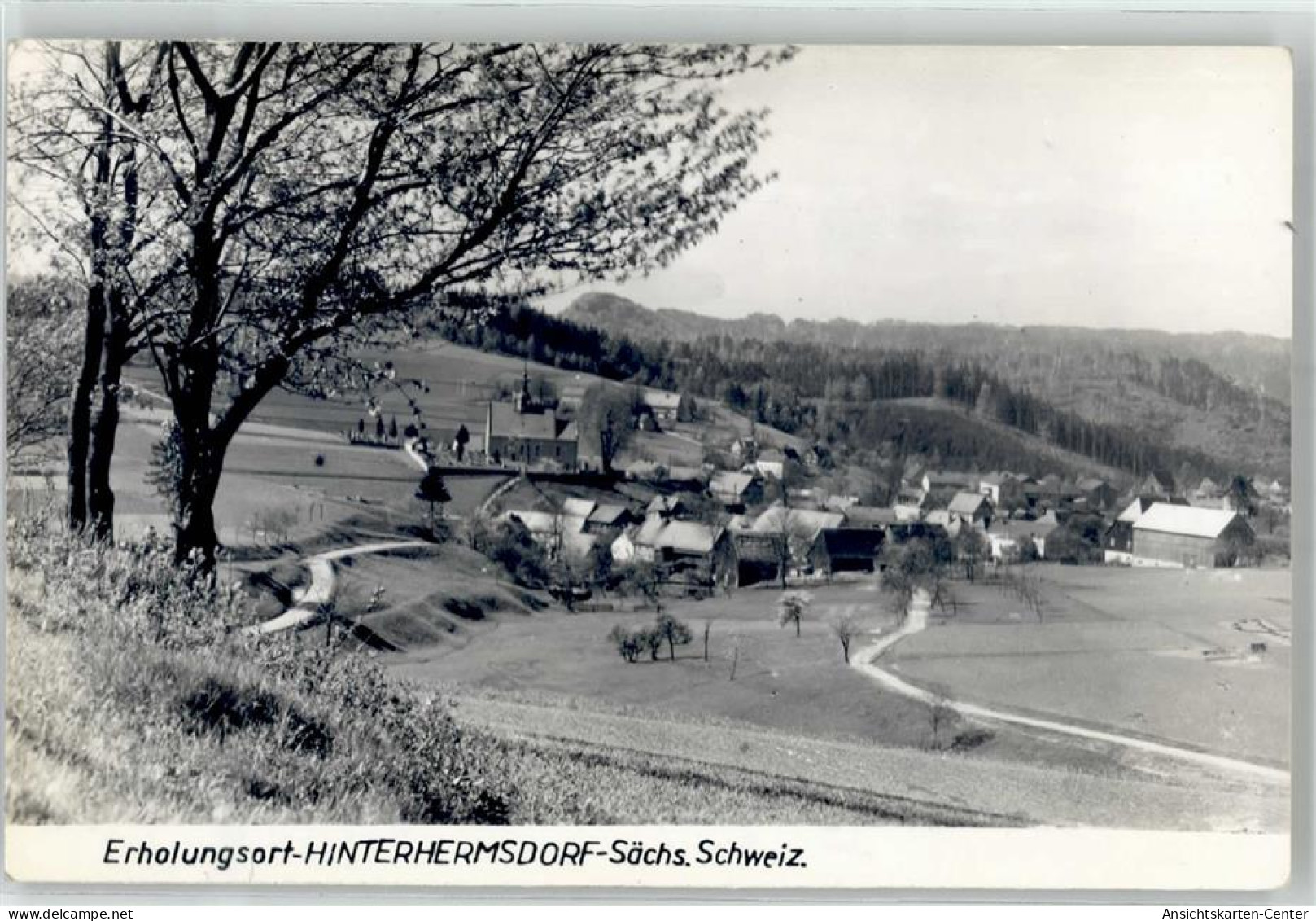 51812090 - Hinterhermsdorf