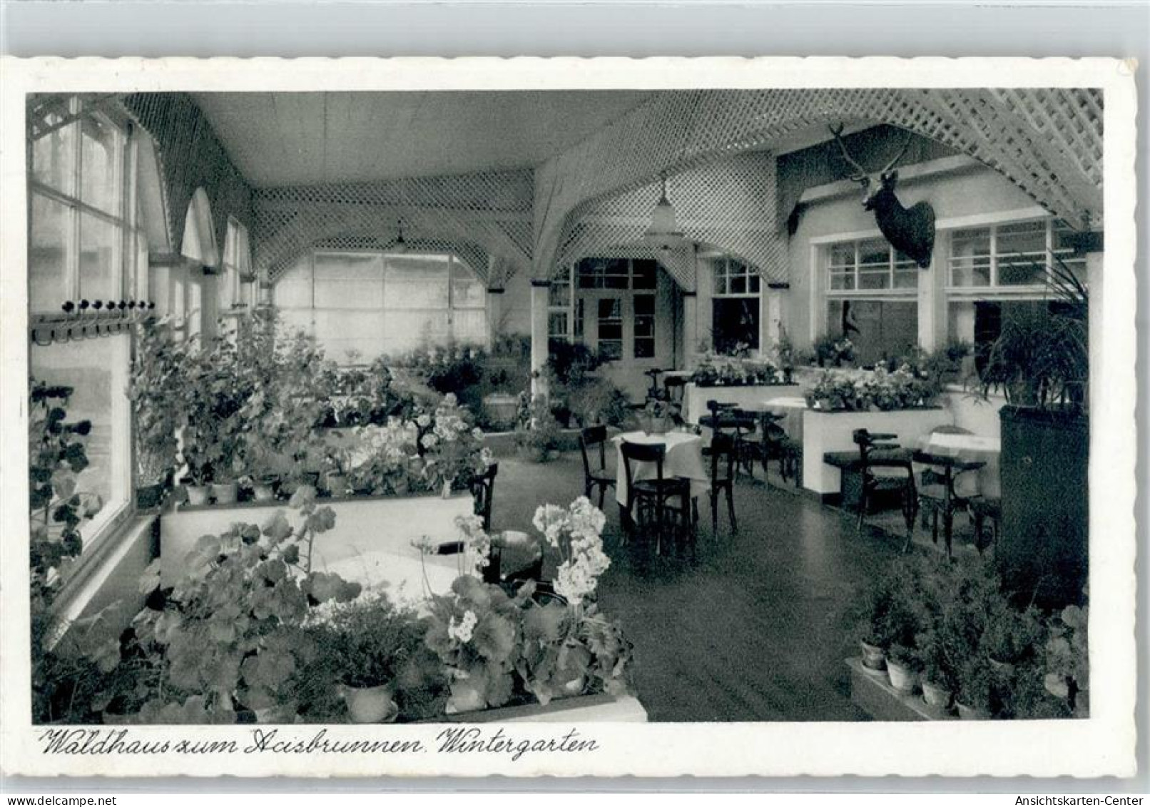 51813102 - Schluechtern