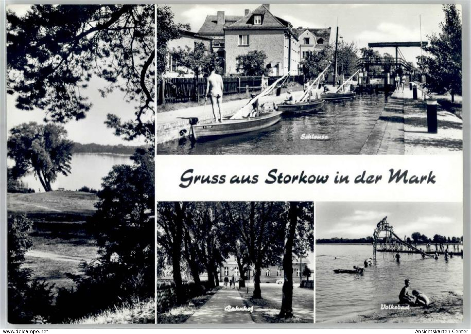 51813659 - Storkow , Mark