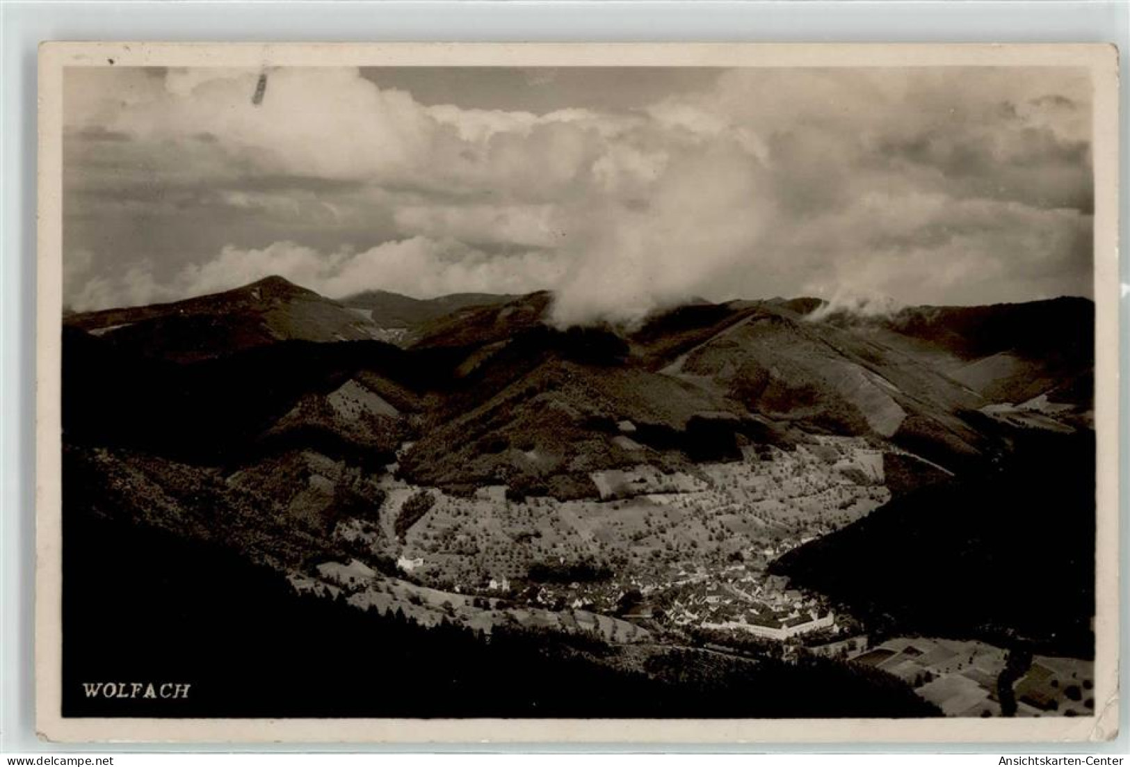 51826887 - Wolfach
