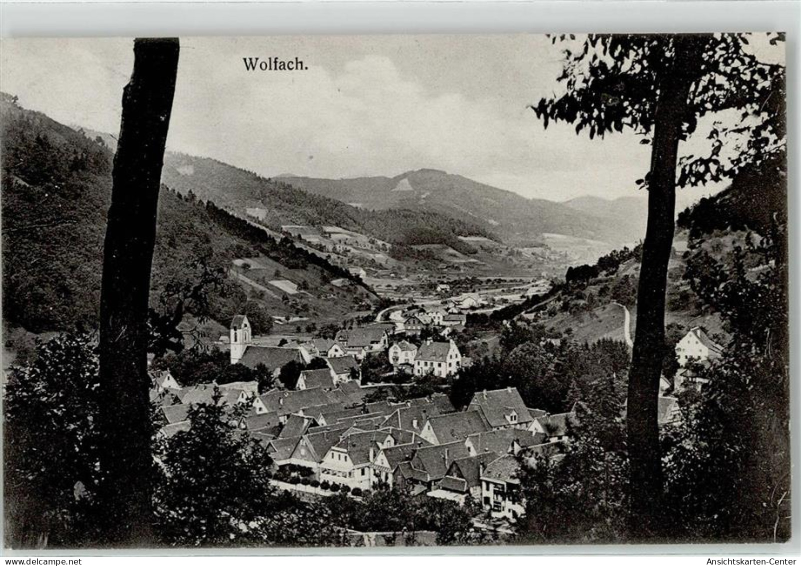 51826917 - Wolfach