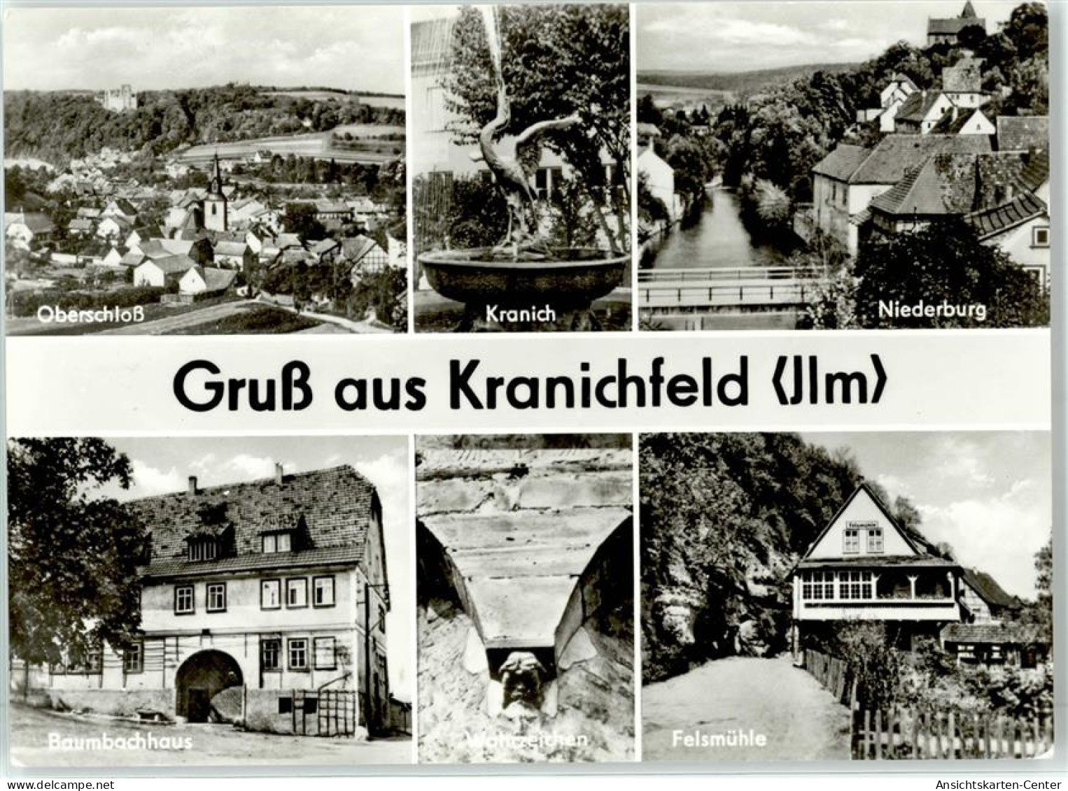 51828360 - Kranichfeld