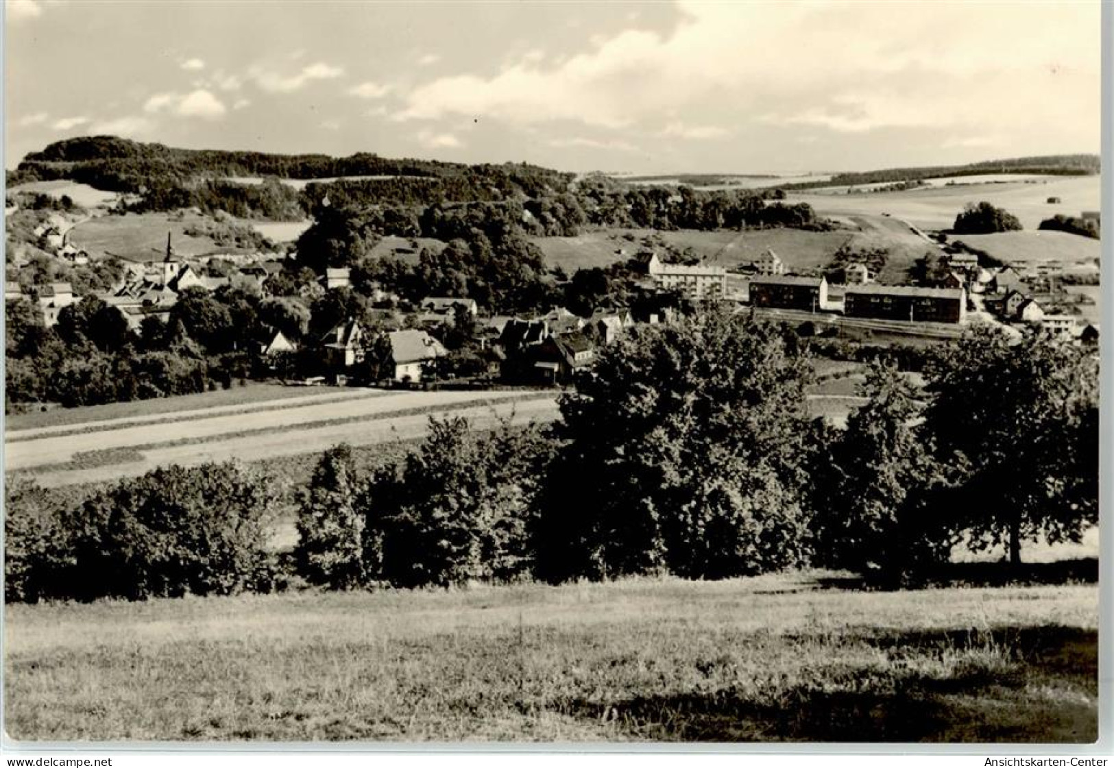 51828381 - Kranichfeld