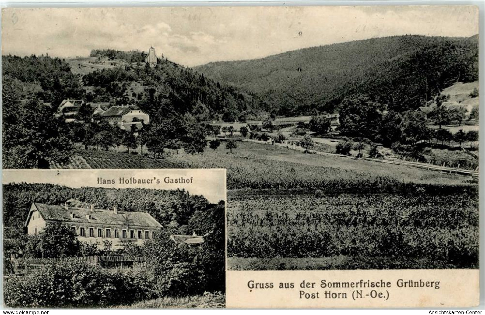 51833917 - Gruenberg