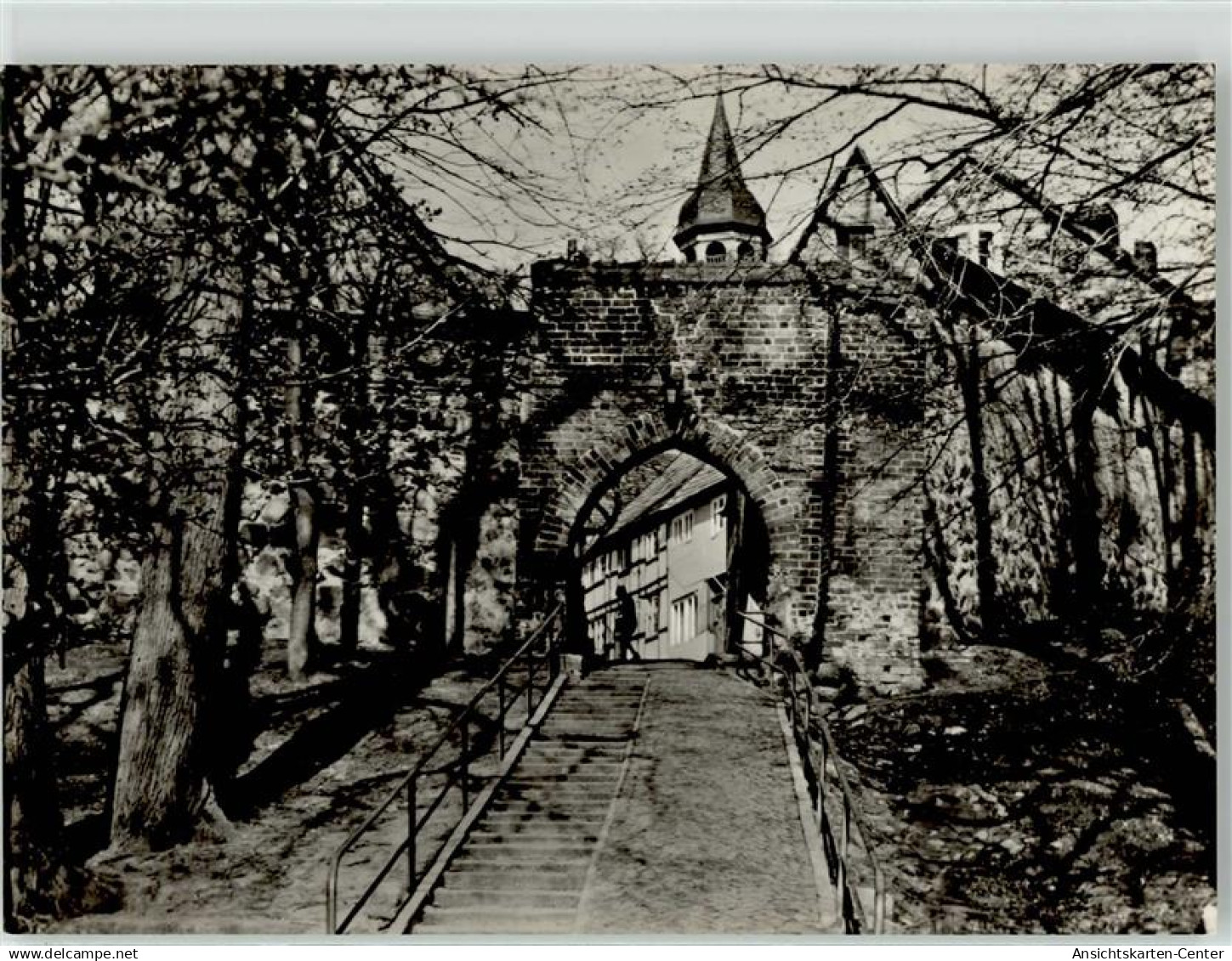 51888784 - Sternberg , Meckl